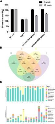 Gut microbiome and metabolome in aneurysm rat with hypertension after ginsenoside Rb1 treatment